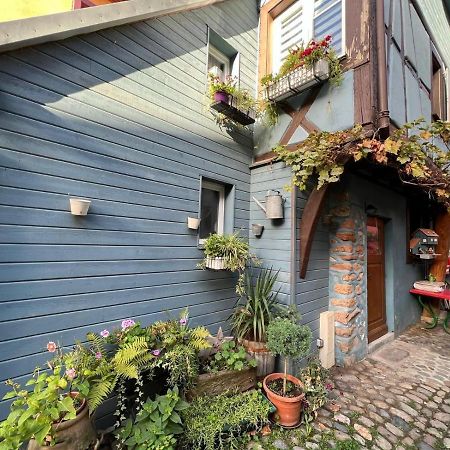 Gite Le 70 A Turckheim, 10 Min Colmar Bagian luar foto