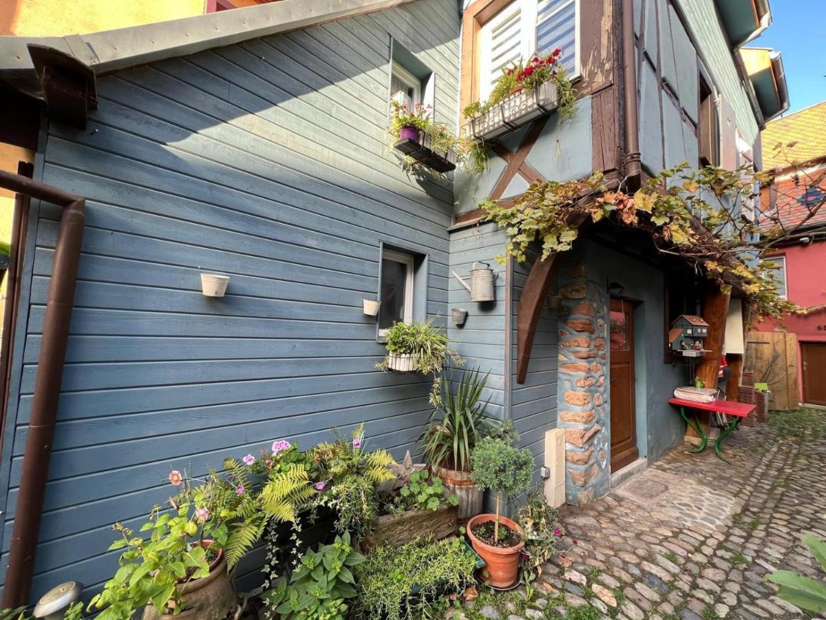 Gite Le 70 A Turckheim, 10 Min Colmar Bagian luar foto